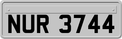 NUR3744