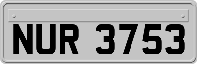 NUR3753