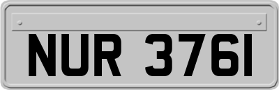 NUR3761