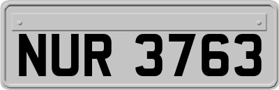 NUR3763