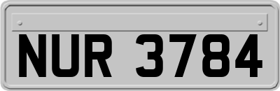 NUR3784