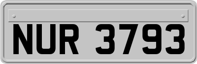 NUR3793