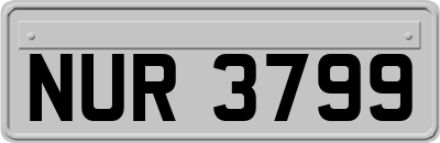 NUR3799