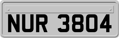 NUR3804