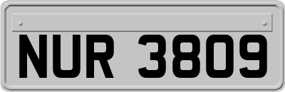 NUR3809