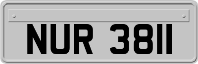 NUR3811