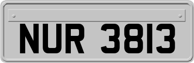 NUR3813