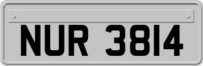 NUR3814