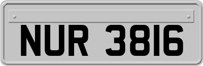 NUR3816