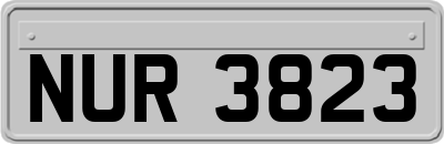 NUR3823