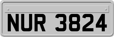 NUR3824