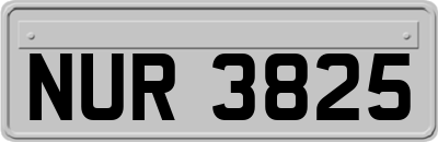 NUR3825