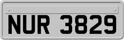 NUR3829