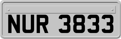 NUR3833