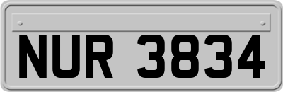 NUR3834