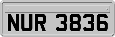 NUR3836