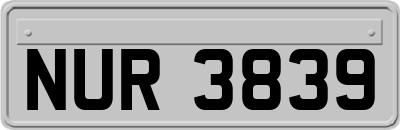 NUR3839