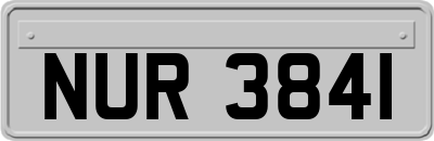 NUR3841
