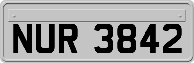 NUR3842