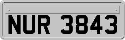 NUR3843