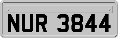 NUR3844