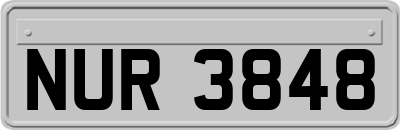 NUR3848