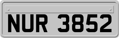 NUR3852