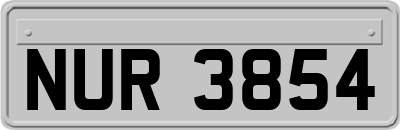 NUR3854