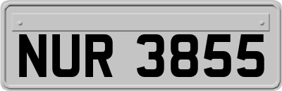 NUR3855