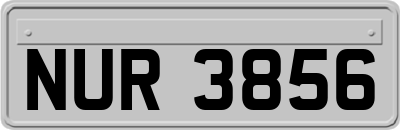 NUR3856