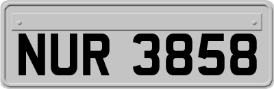 NUR3858