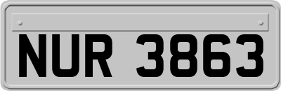NUR3863