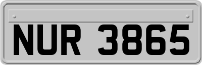 NUR3865
