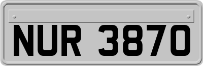 NUR3870