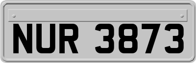 NUR3873