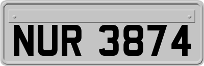NUR3874