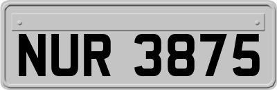 NUR3875