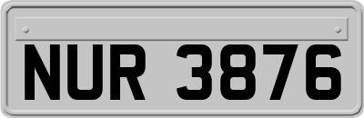 NUR3876
