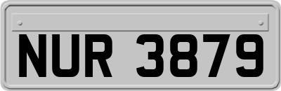 NUR3879