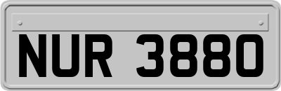 NUR3880