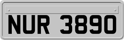 NUR3890
