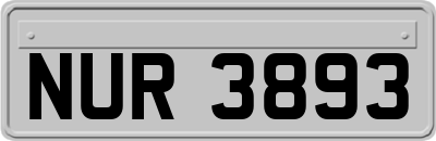 NUR3893