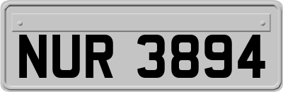 NUR3894