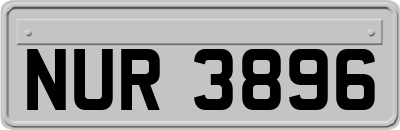 NUR3896