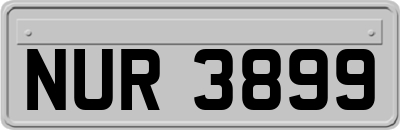 NUR3899