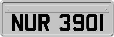 NUR3901