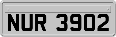 NUR3902