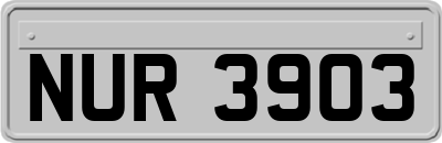 NUR3903
