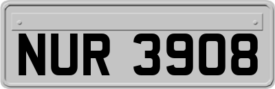 NUR3908