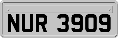 NUR3909